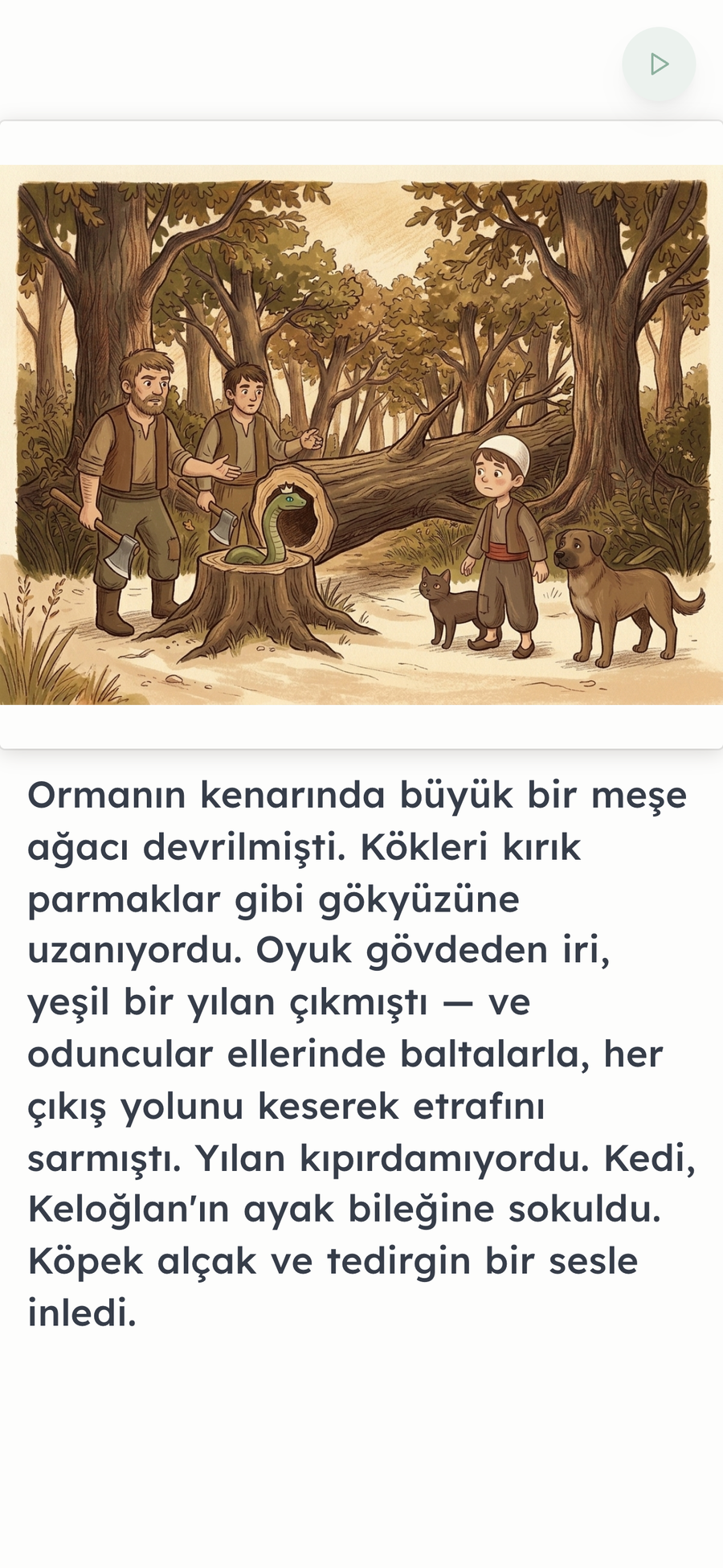 A page of the Turkish folk tale 'Keloğlan ve Sihirli Mühür' being read in Turkish in the BookCloud app